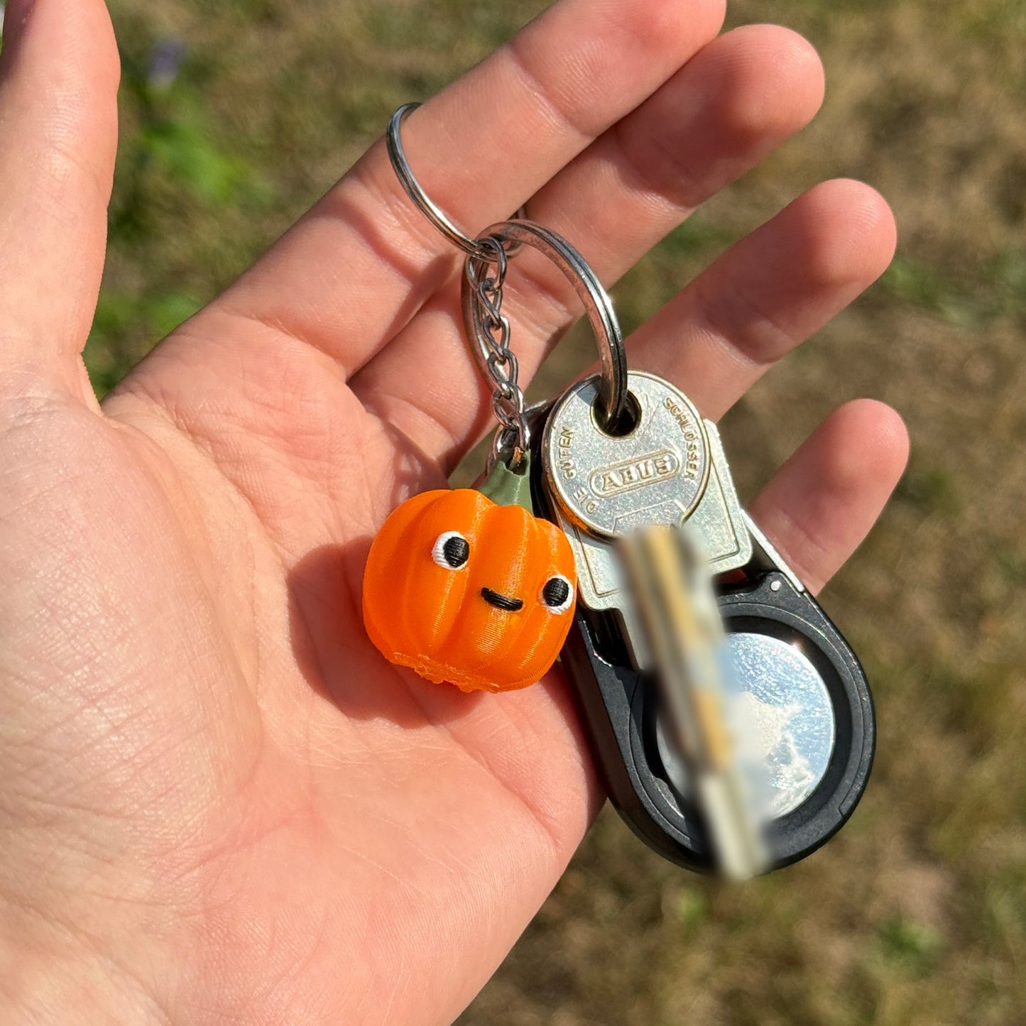 Kürbi – der Grins-Kumpel