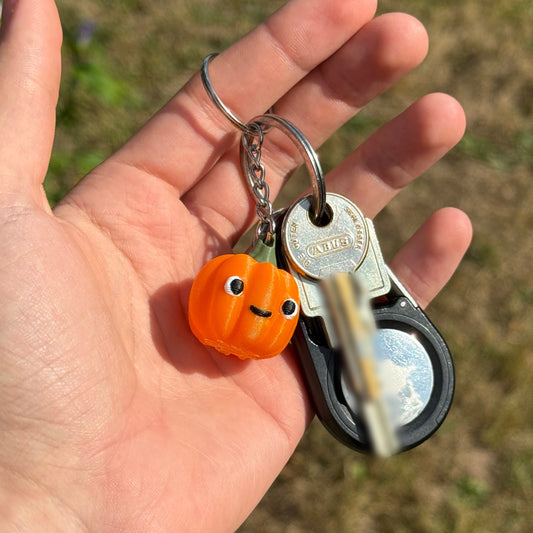 Kürbi – der Grins-Kumpel